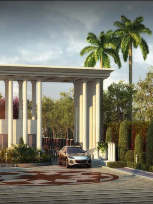 Plot in Bihta